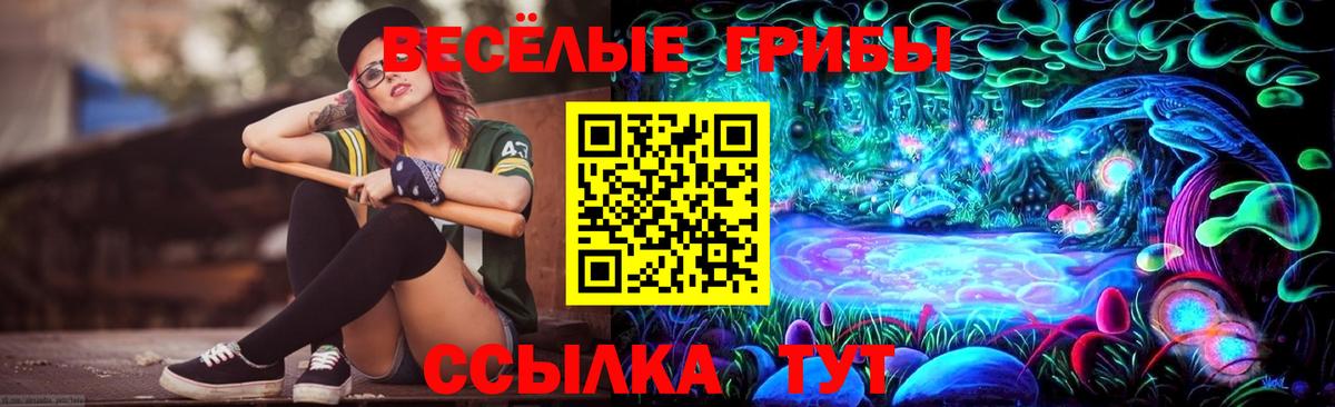 Кирово-Чепецк  Галлюциногенные грибы мухоморы  Вход с VPN 